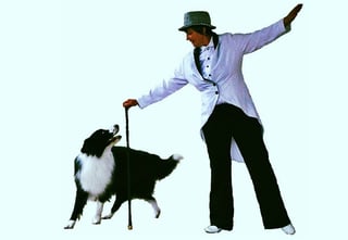 Dancing with dog