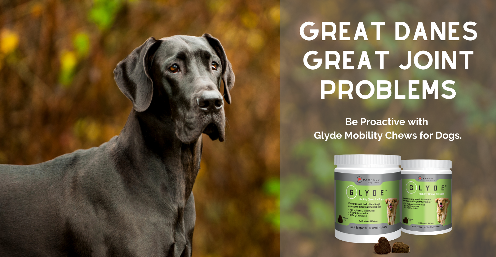 glucosamine for great danes