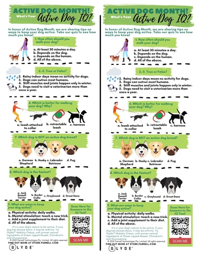 Arthritis in dogs is scary!