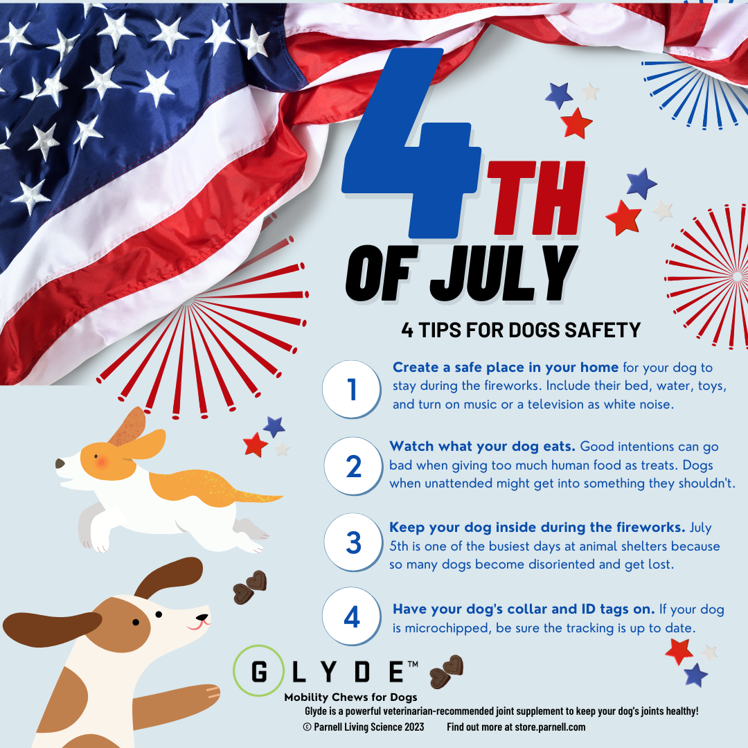 4th of July Safety Tips for Dogs (FBPost)