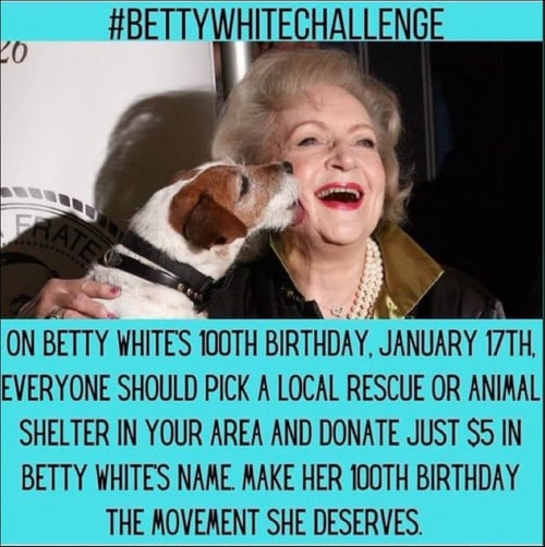 Betty White CHallenge