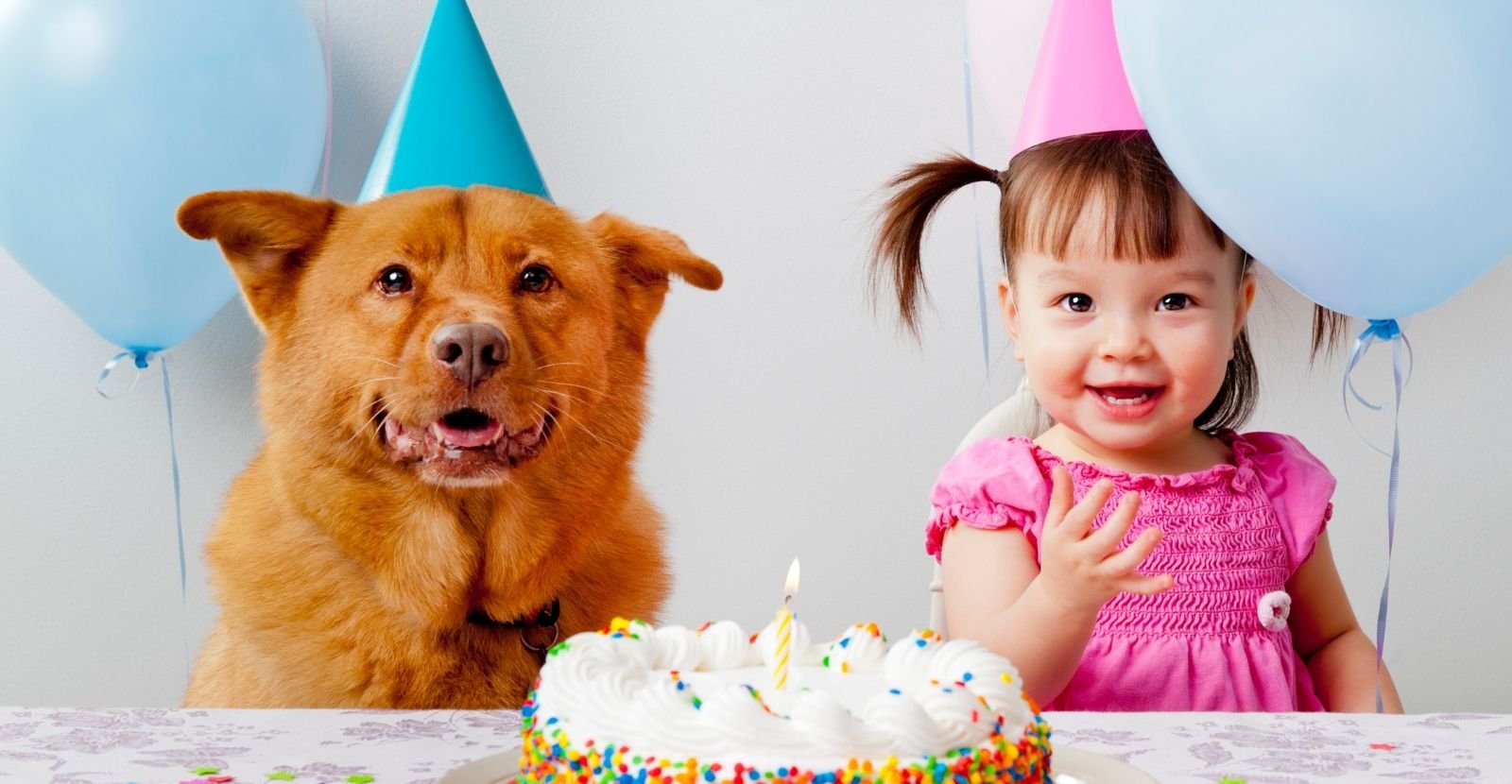 Birthday for dog and child