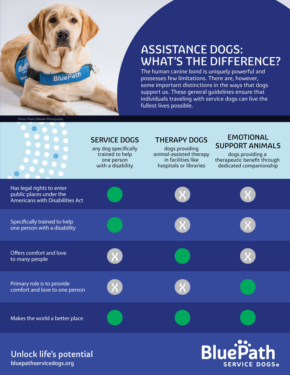 Different kinds sale of service dogs