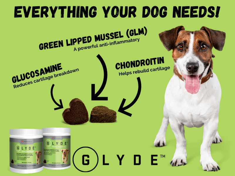 Everything your dog needs in Glyde