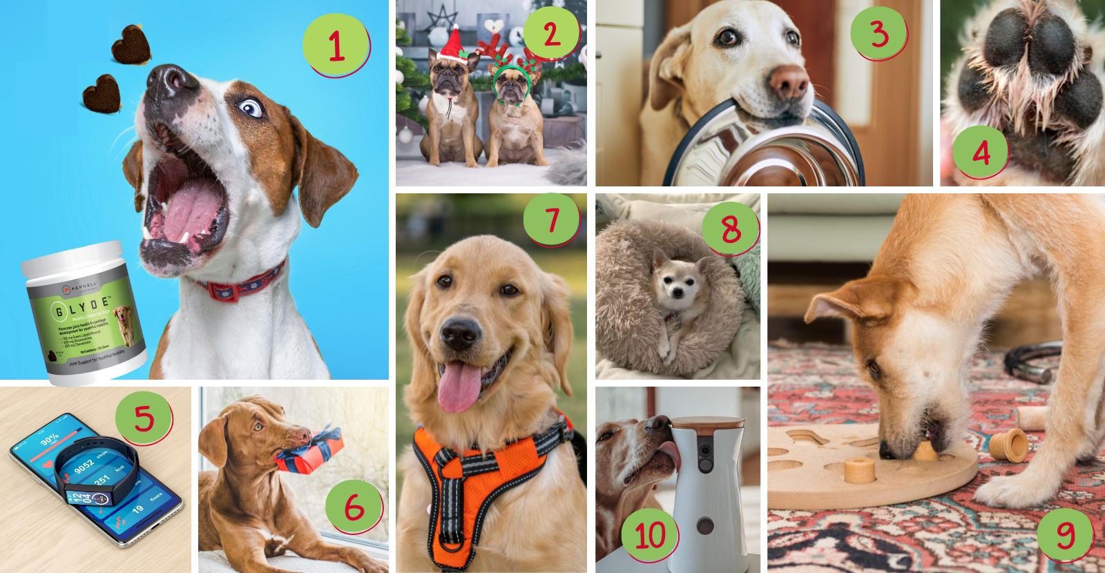 Top 10 Christmas Gifts for Dogs