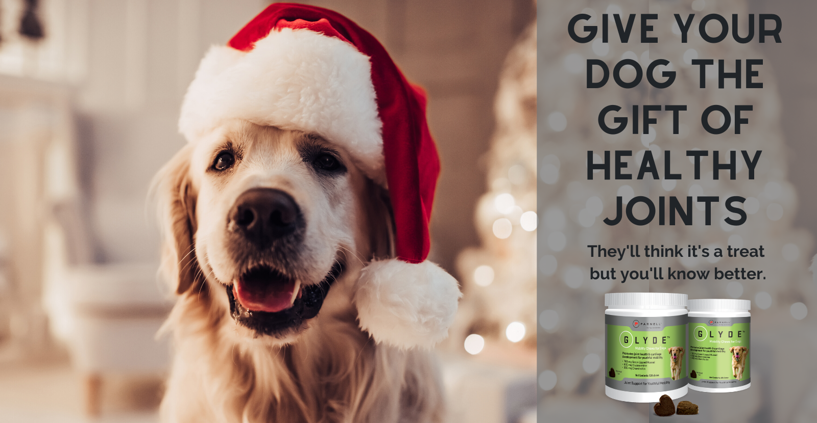 Give the gift of healthy joints