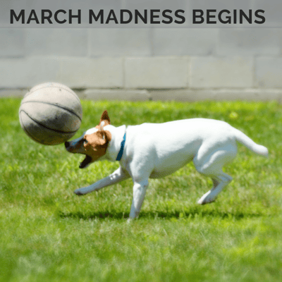 March Madness Begins