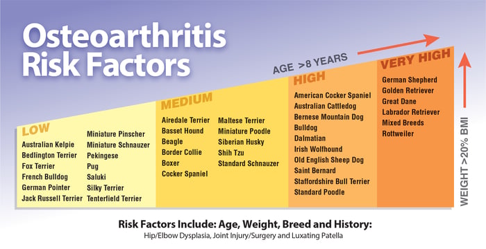 Osteoarthritis risk factors