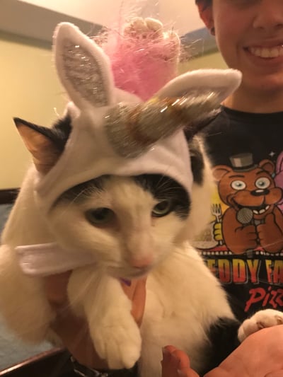 Samantha as a unicorn