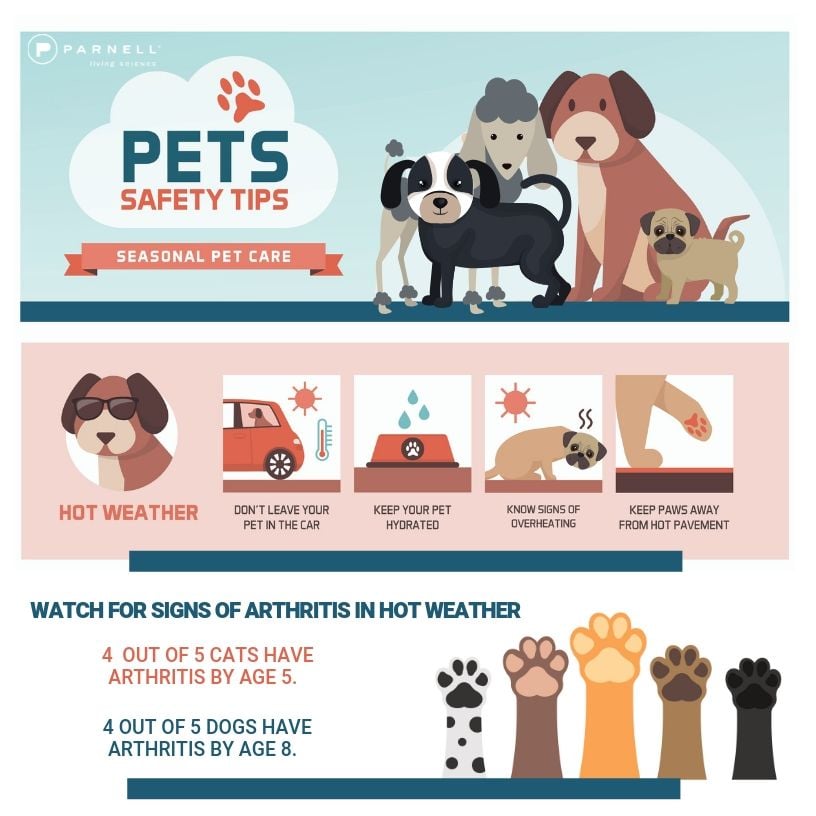 Summer Pet Health & Pet Chore Chart [Downloadable]