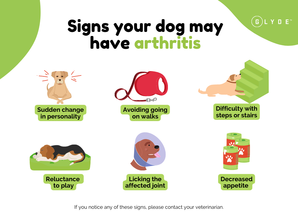 Signs your dog may have arthritis