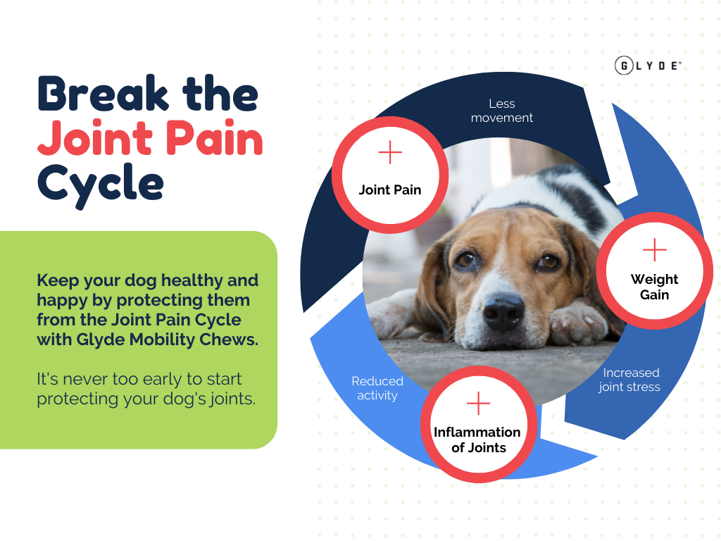 Break the Joint Pain Cycle