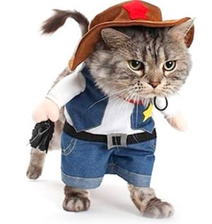 Hilarious cat costume