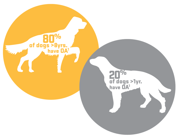 80-20-Dogs-Arthritis-Circle