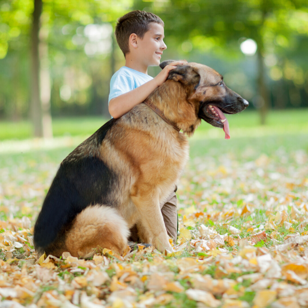 GSD and his human