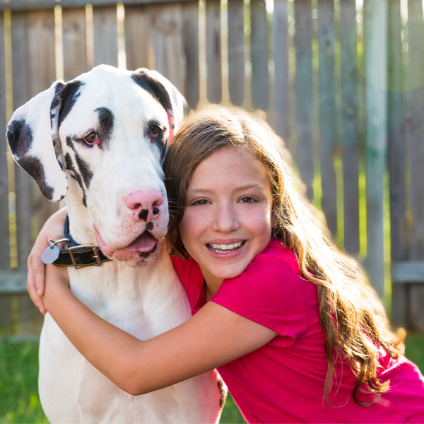 Great Dane with her human
