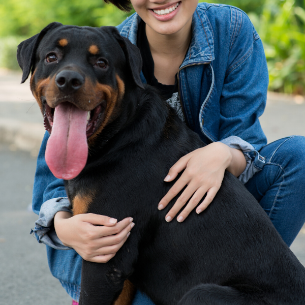 Rottweilers