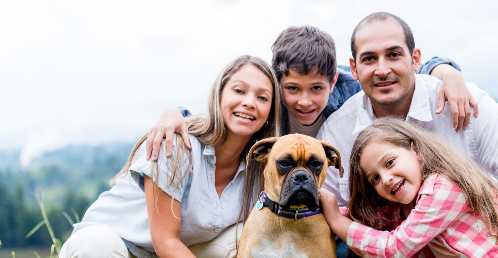 boxer family