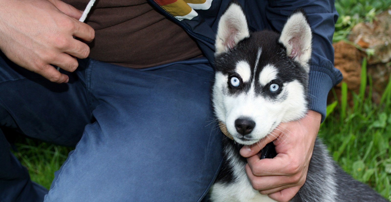 little guy in the lap