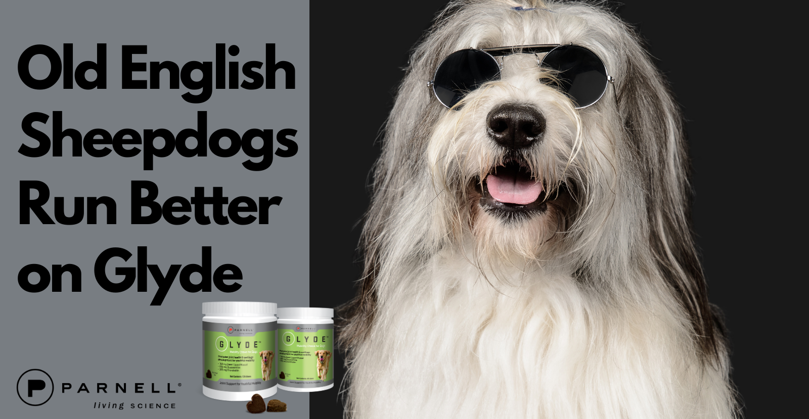 We Love Old English Sheepdogs