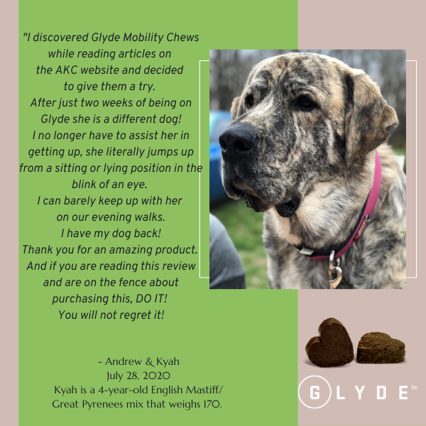 Our Customers Love Glyde!