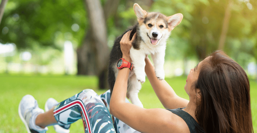 dogya or yoga