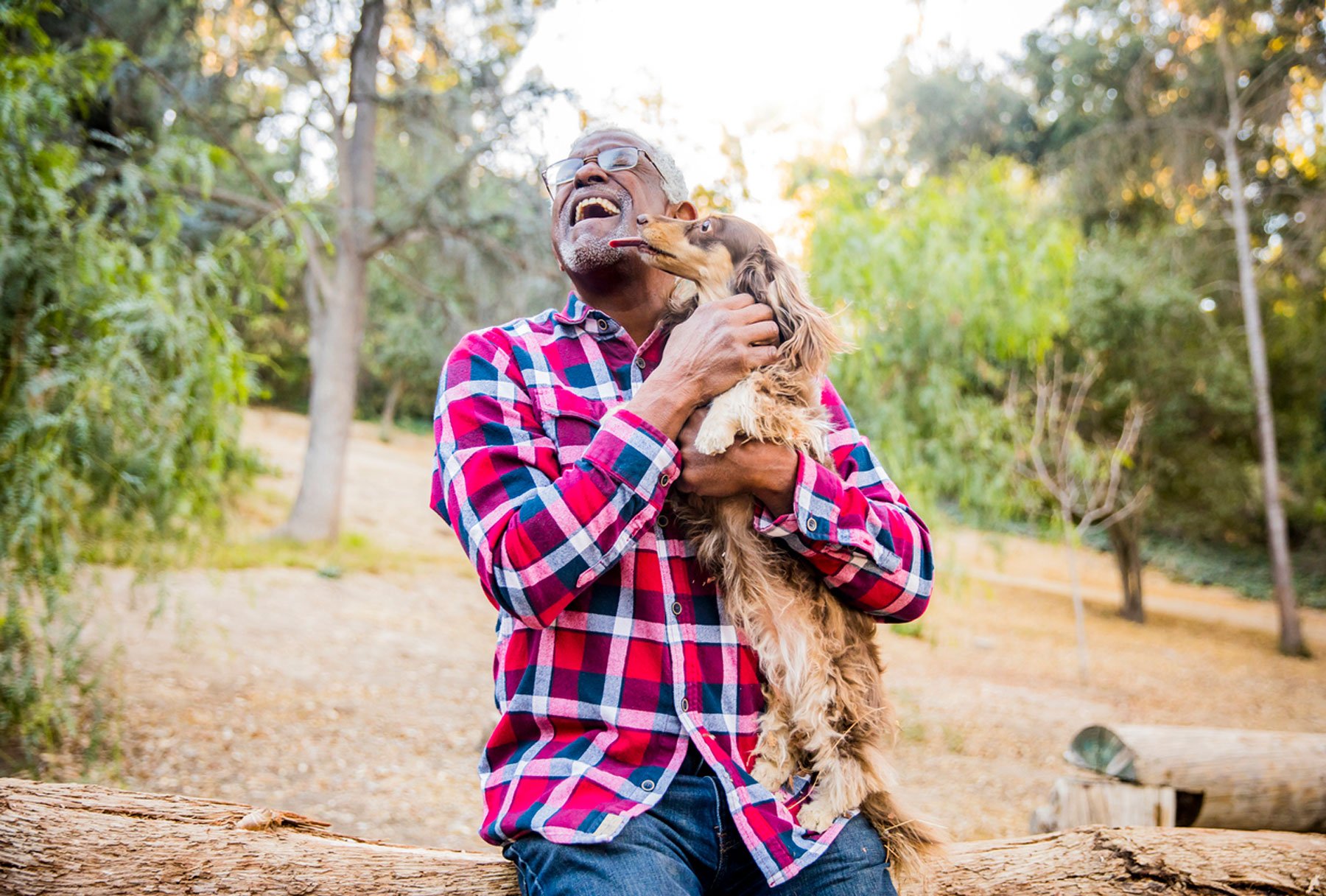 Why do dogs lick faces?