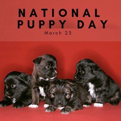 National Puppy Day!