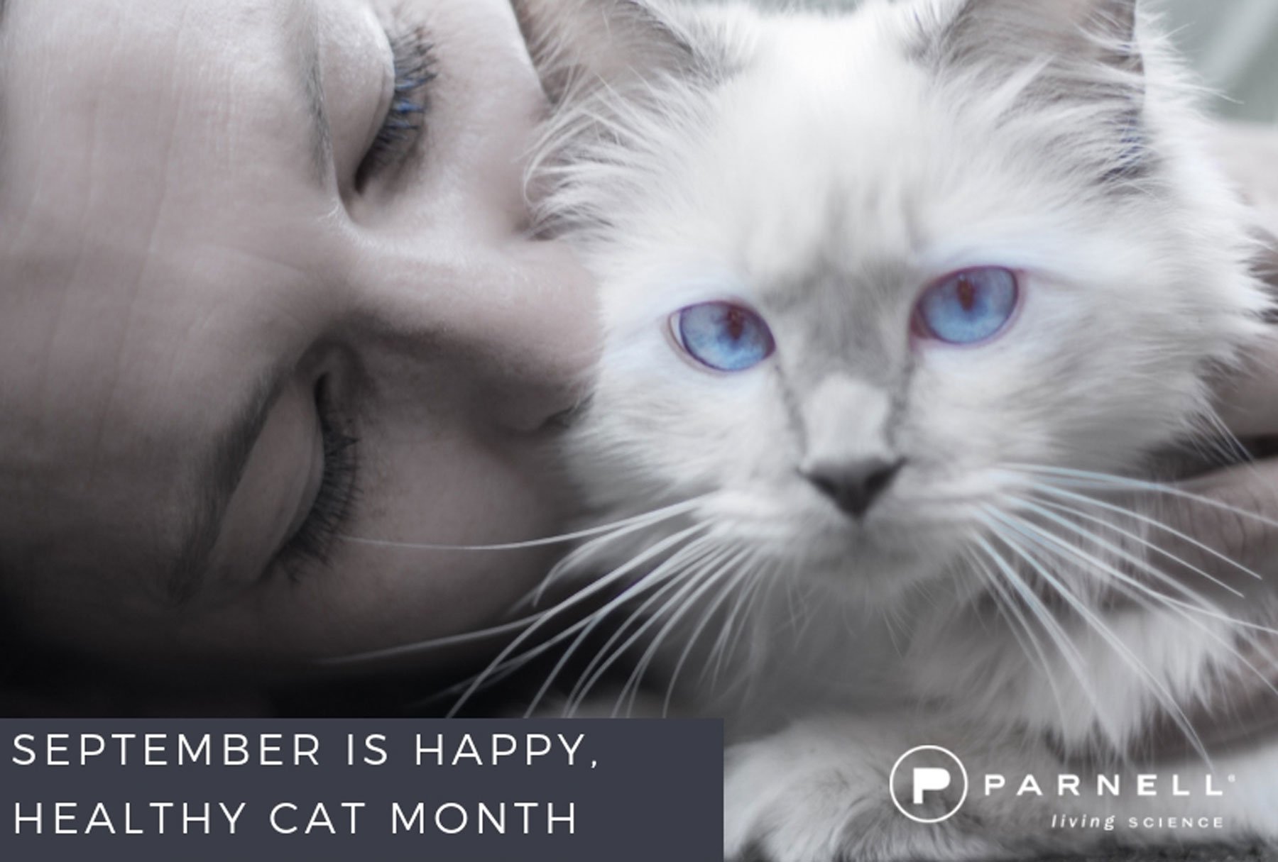 September as Happy, Healthy Cat Month
