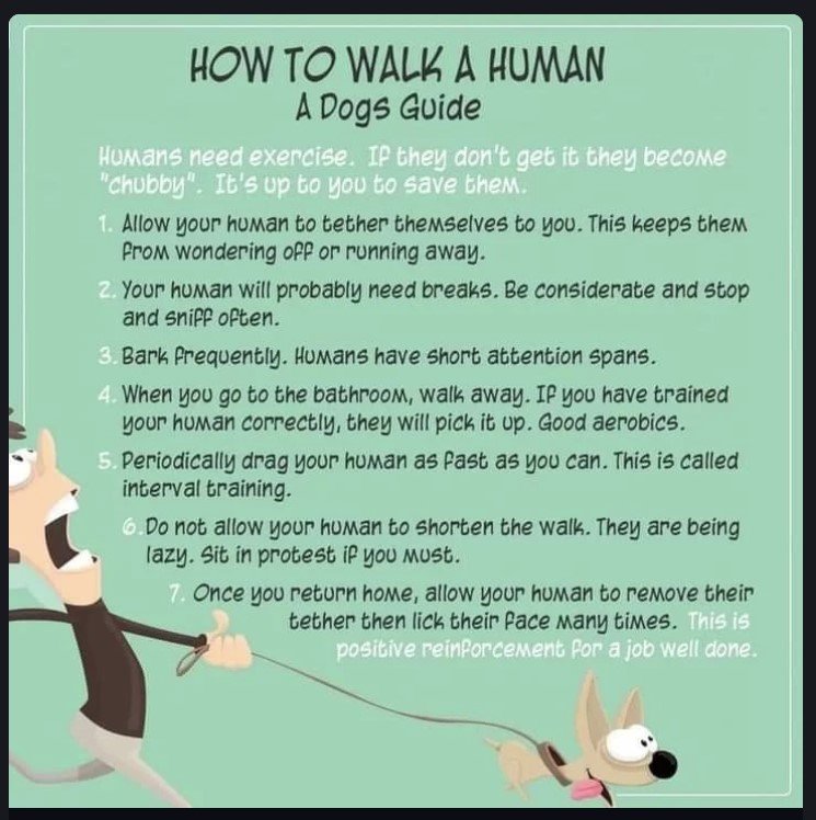 walk a human