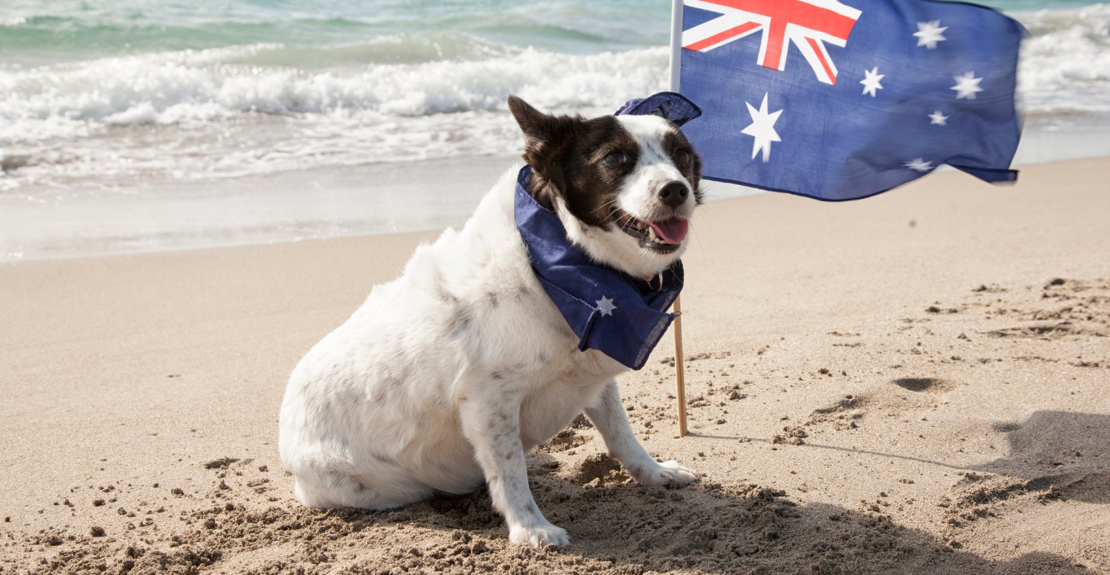 Australia Day Gives Us Reasons to Celebrate