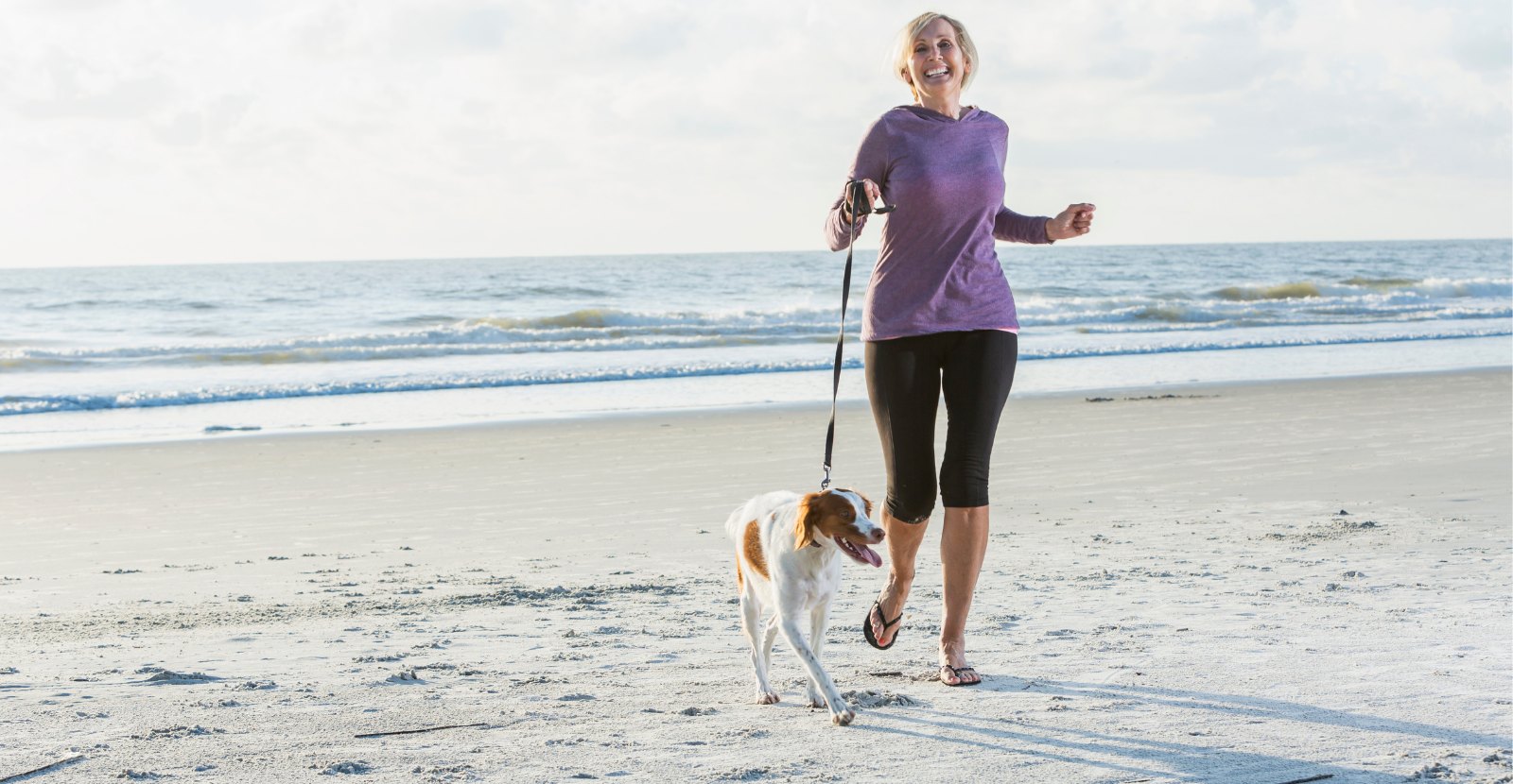Tips for Walking Your Dog for Active Dog Month