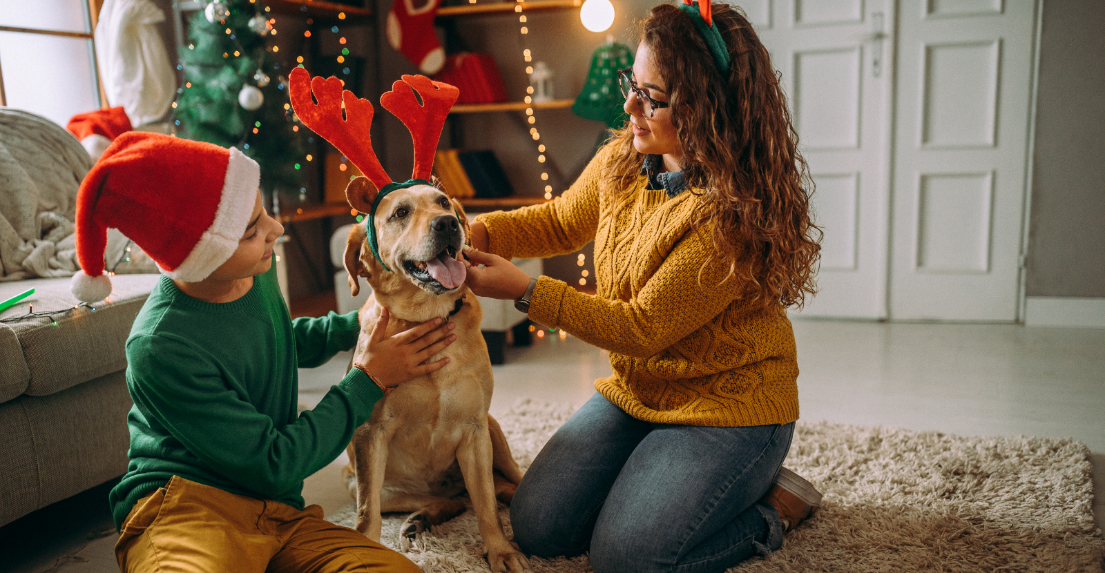 Top 5 Holiday Pet-Related Disasters to Avoid
