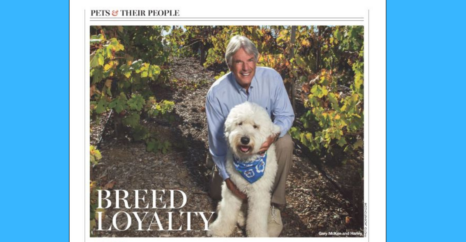 Breed Loyalty with Glyde