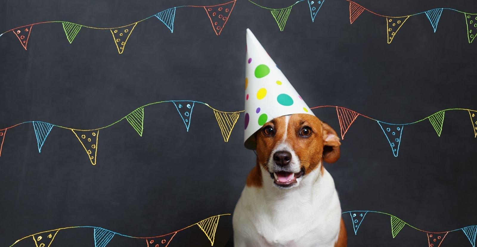 10 Ways to Celebrate Your Dog’s Birthday