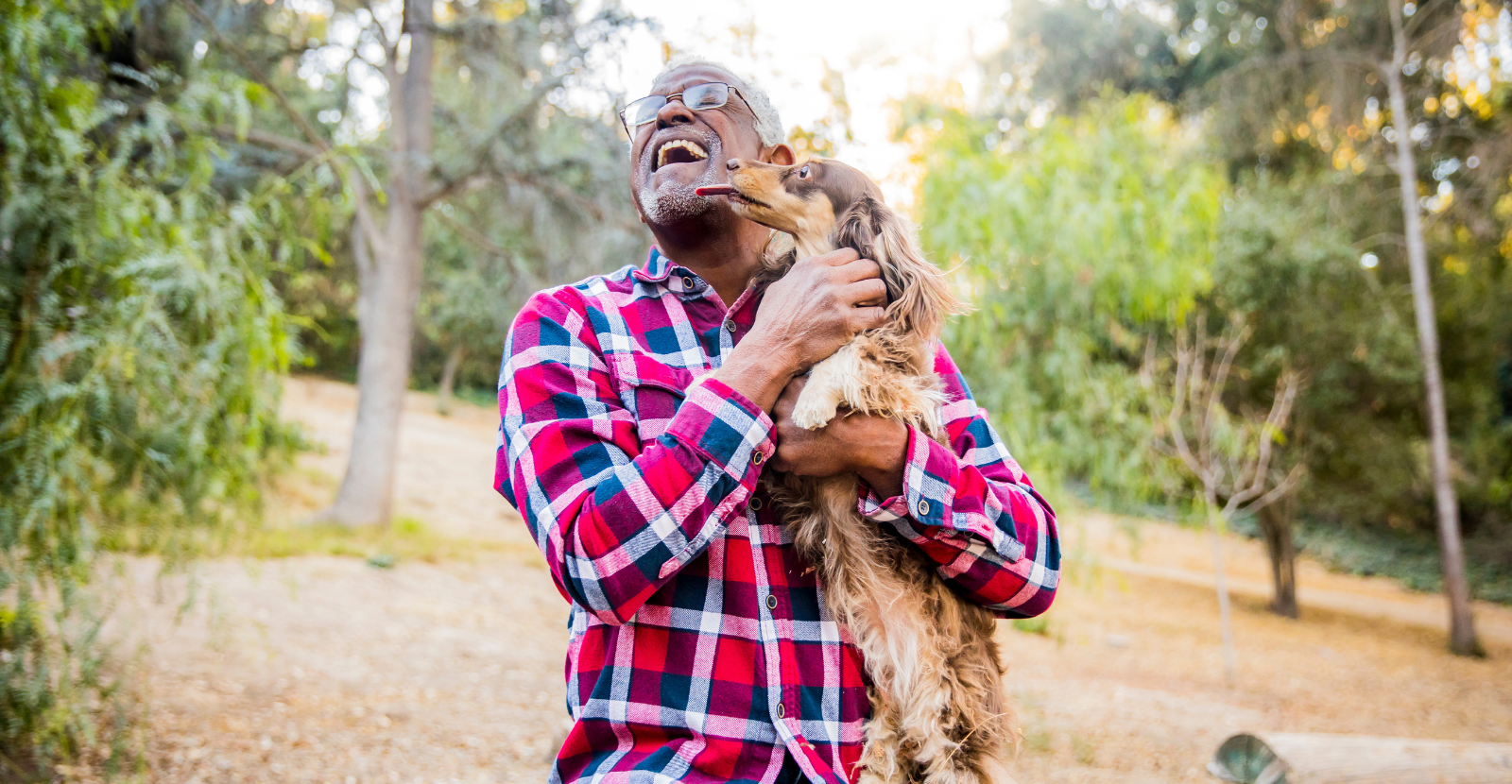 Why Do Dogs Lick Faces?