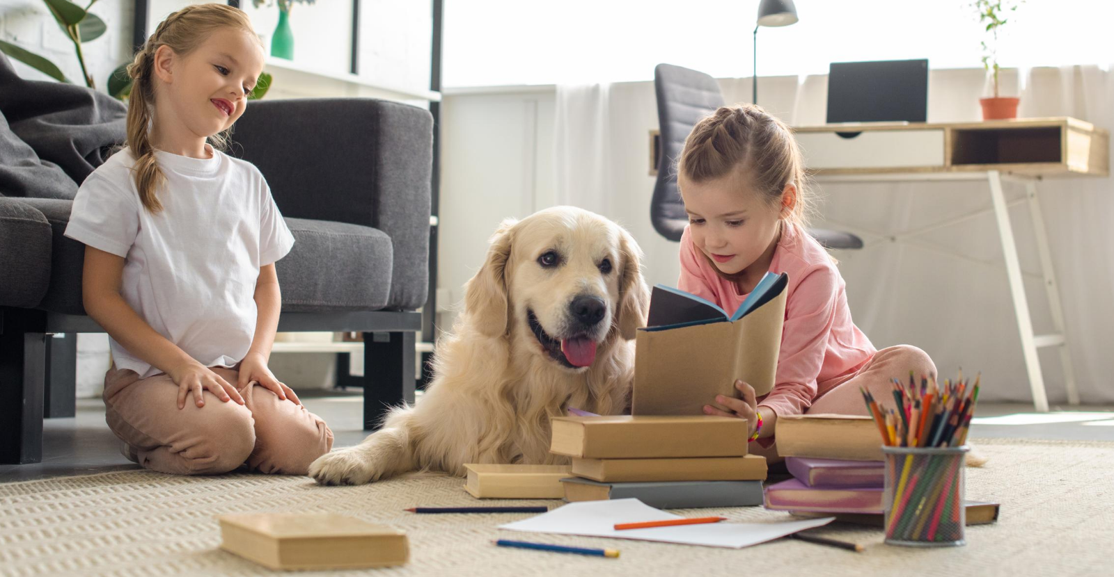 Back to School Schedule for Dog (Downloadable)