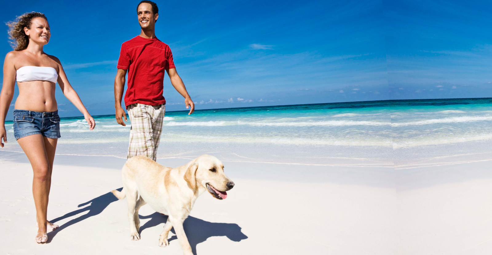 January Walk Your Dog Month for Happy Healthy New Year