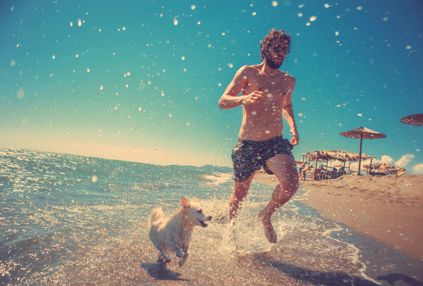 In on the beach. Мужчина бежит по пляжу. Человек с собакой на пляже. Бежит по морю. Люди бегут с пляжа.