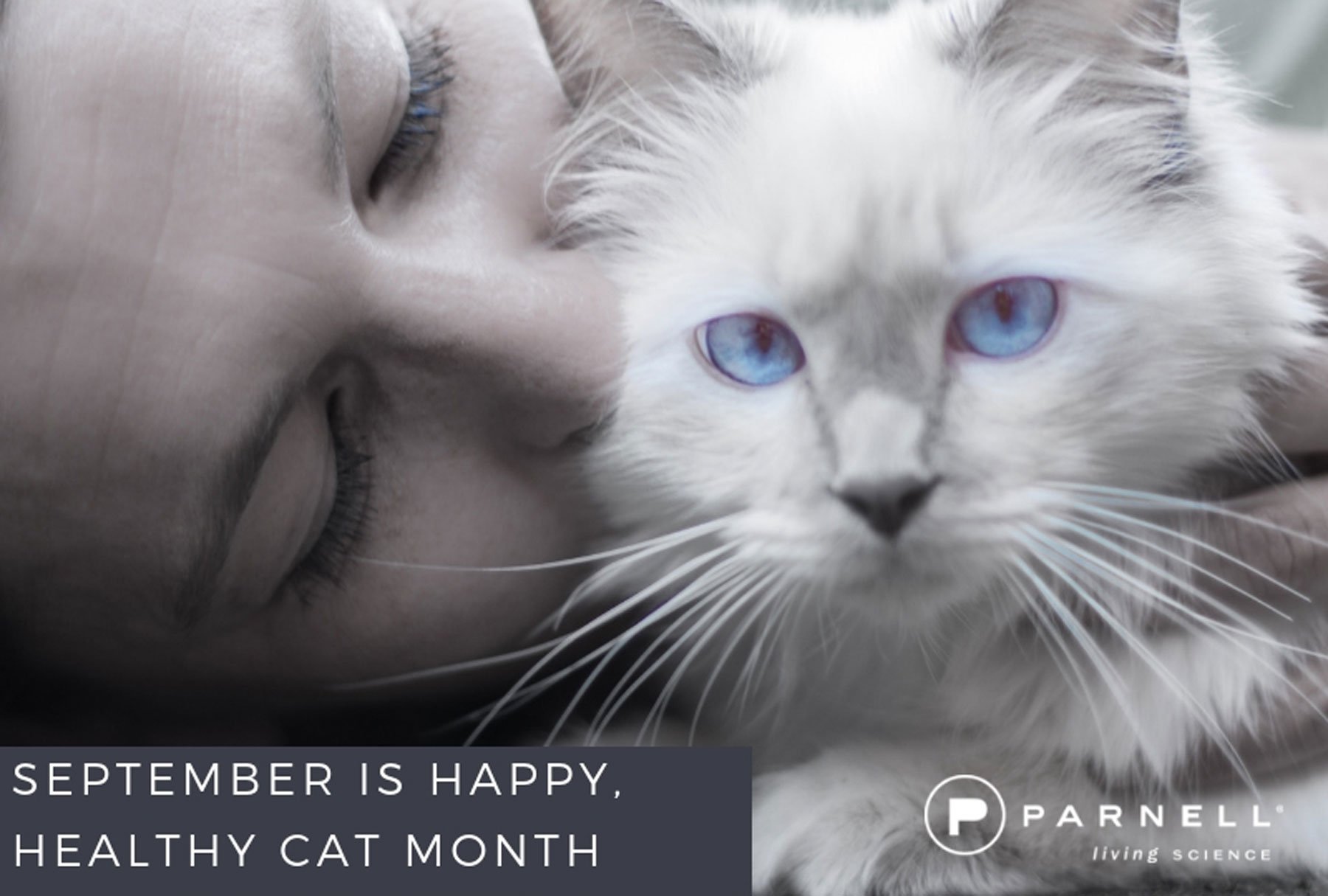 September is Happy, Healthy Cat Month