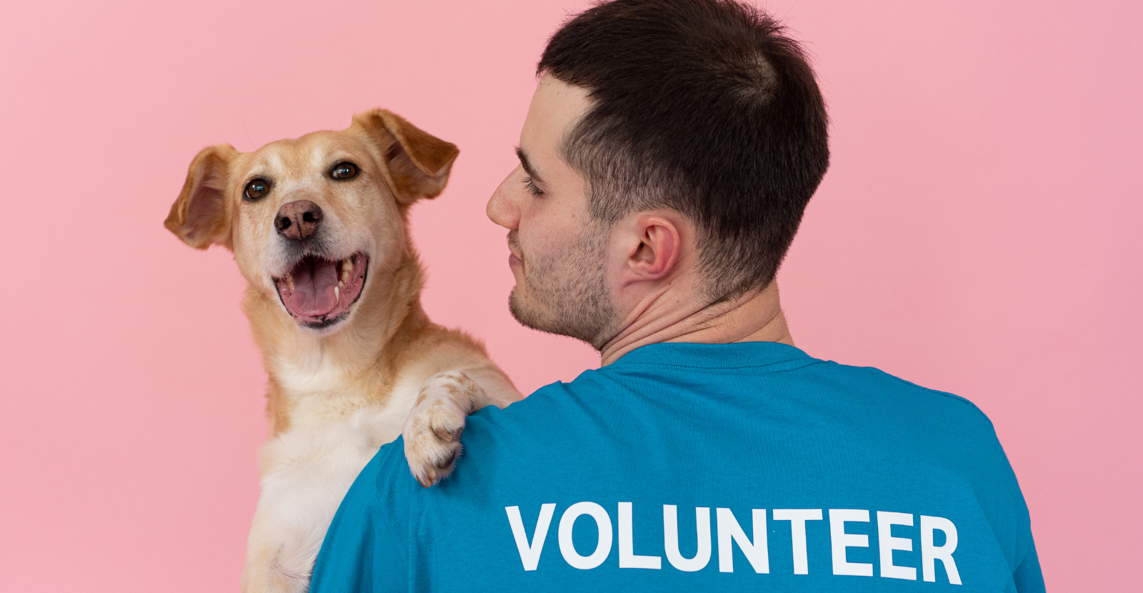 Volunteer for Adopt a Dog Month: How You Can Help